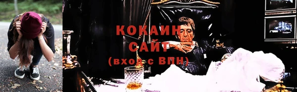 молекула духа Алексин