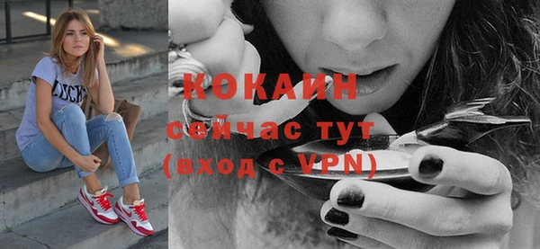 соль ск Кулебаки