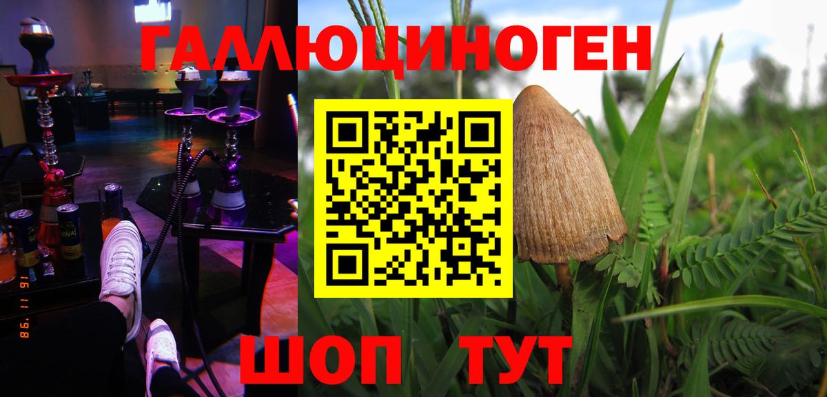 Псилоцибиновые грибы Psilocybe  Вход с VPN  Ишим  Галлюциногенные грибы мухоморы 